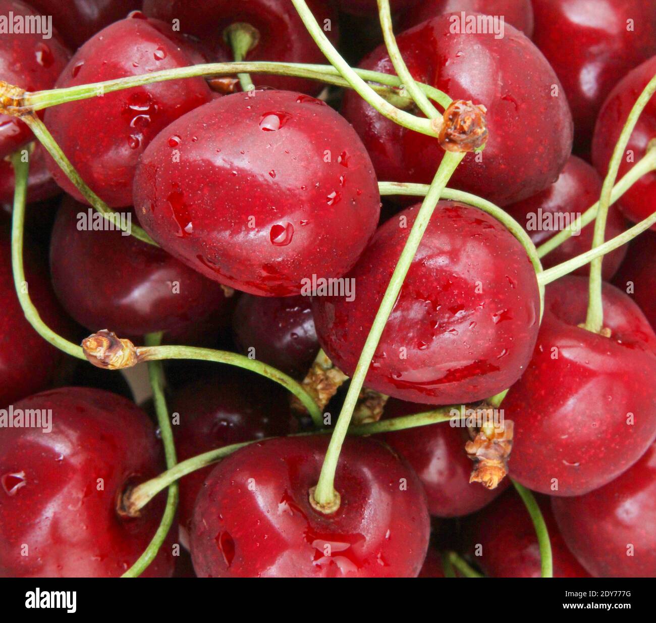 Sweet Cherry Background. A Cherry Is The Fruit Of Many Plants Of The Genus Prunus Stock Photo
