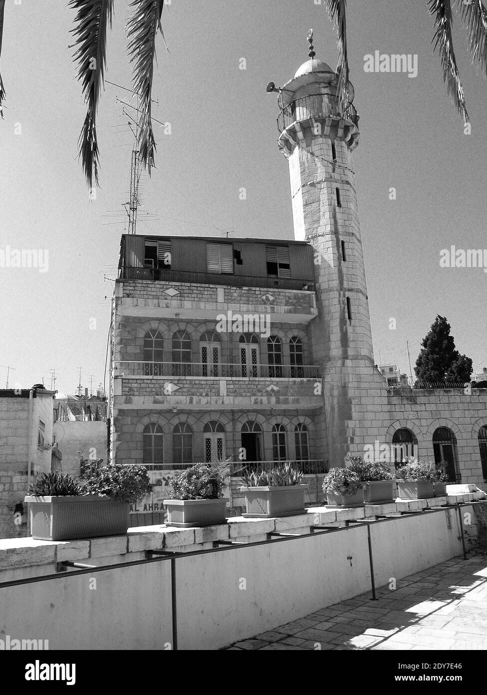 Le haut minaret de la mosquée blanche situé en face de l'Hospice autrichien dans le quartier musulman de Jérusalem. Palestine Israël Stock Photo