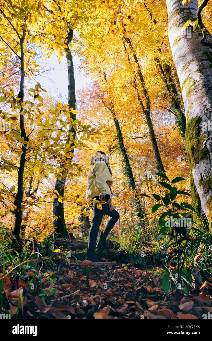 Woman photographer forest hi-res stock photography and images - Alamy
