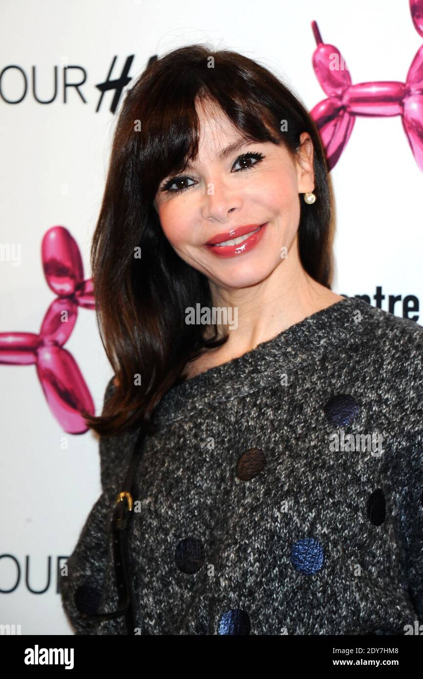 Frederique Lopez attending the Jeff Koons for H&M party at the Centre Pompidou in Paris, France, on december 10, 2014. Photo by Aurore Marechal/ABACAPRESS.COM Stock Photo