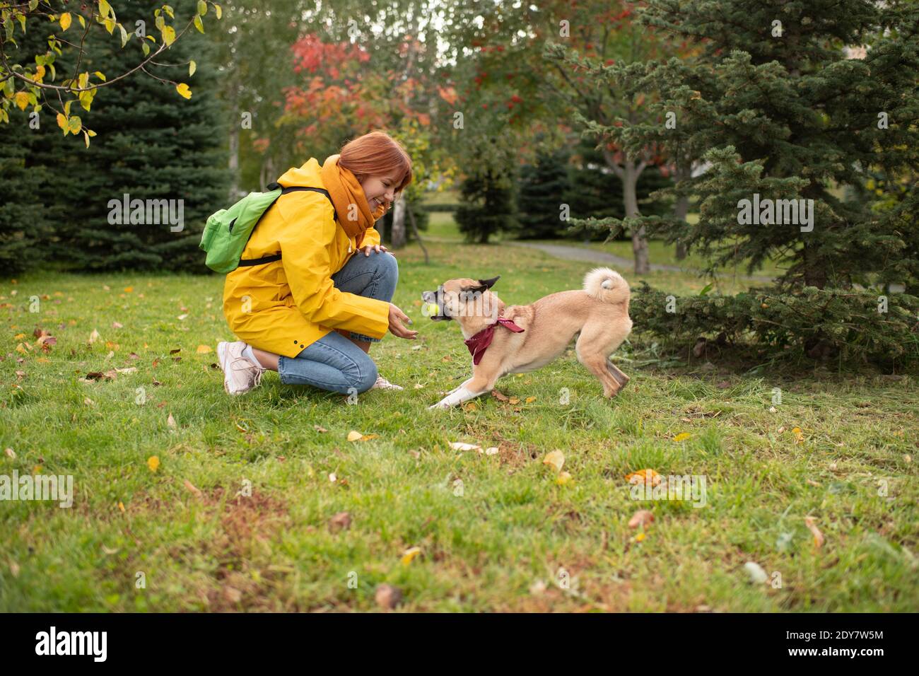 Side view of playful dog fetching ball and bringing toy back to glad