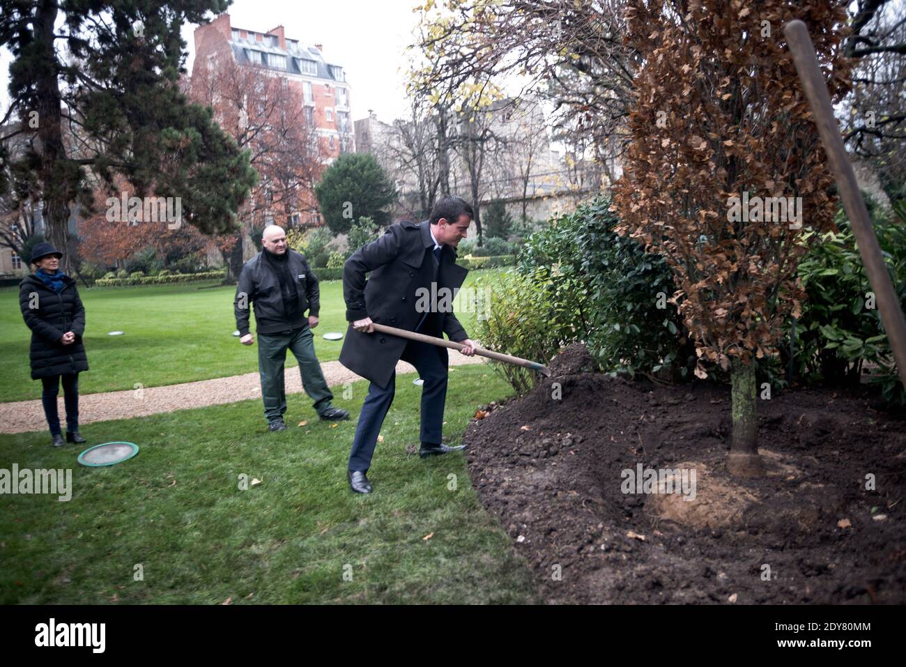 French Prime Minister Manuel Valls - as is the republican tradition - plants the tree called 'of the Prime Minister' watched by his wife Anne Gravoin in the gardens of his headquarters Hotel de Matignon in Paris, France on December 16, 2014. The tree, chosen by the Prime Minister, is an oak of the species 'Quercus robur fastigiata' and is located on the front lawn. The tradition of planting a tree at the PM's headquarters was introduced by the late Prime Minister Raymond Barre in 1978. Photo Pool by Nicolas Messyasz/ABACAPRESS.COM Stock Photo