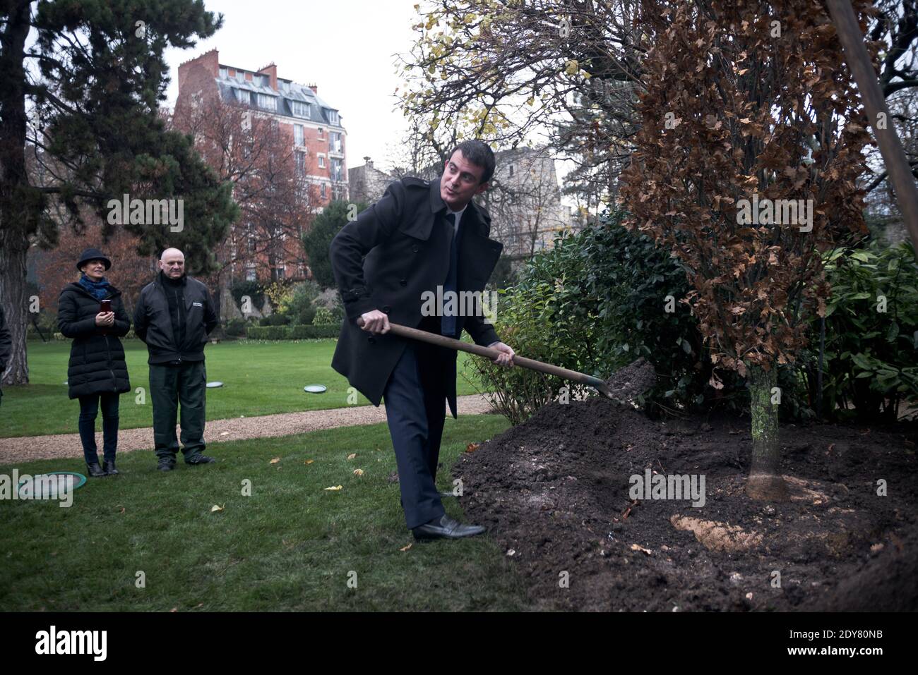 French Prime Minister Manuel Valls - as is the republican tradition - plants the tree called 'of the Prime Minister' watched by his wife Anne Gravoin in the gardens of his headquarters Hotel de Matignon in Paris, France on December 16, 2014. The tree, chosen by the Prime Minister, is an oak of the species 'Quercus robur fastigiata' and is located on the front lawn. The tradition of planting a tree at the PM's headquarters was introduced by the late Prime Minister Raymond Barre in 1978. Photo Pool by Nicolas Messyasz/ABACAPRESS.COM Stock Photo
