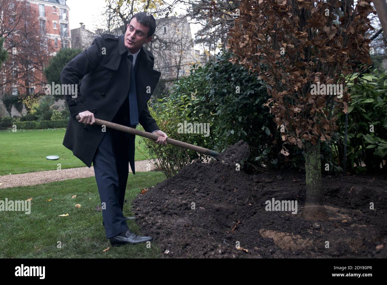 French Prime Minister Manuel Valls - as is the republican tradition - plants the tree called 'of the Prime Minister' in the gardens of his headquarters Hotel de Matignon in Paris, France on December 16, 2014. The tree, chosen by the Prime Minister, is an oak of the species 'Quercus robur fastigiata' and is located on the front lawn. The tradition of planting a tree at the PM's headquarters was introduced by the late Prime Minister Raymond Barre in 1978. Photo Pool by Nicolas Messyasz/ABACAPRESS.COM Stock Photo