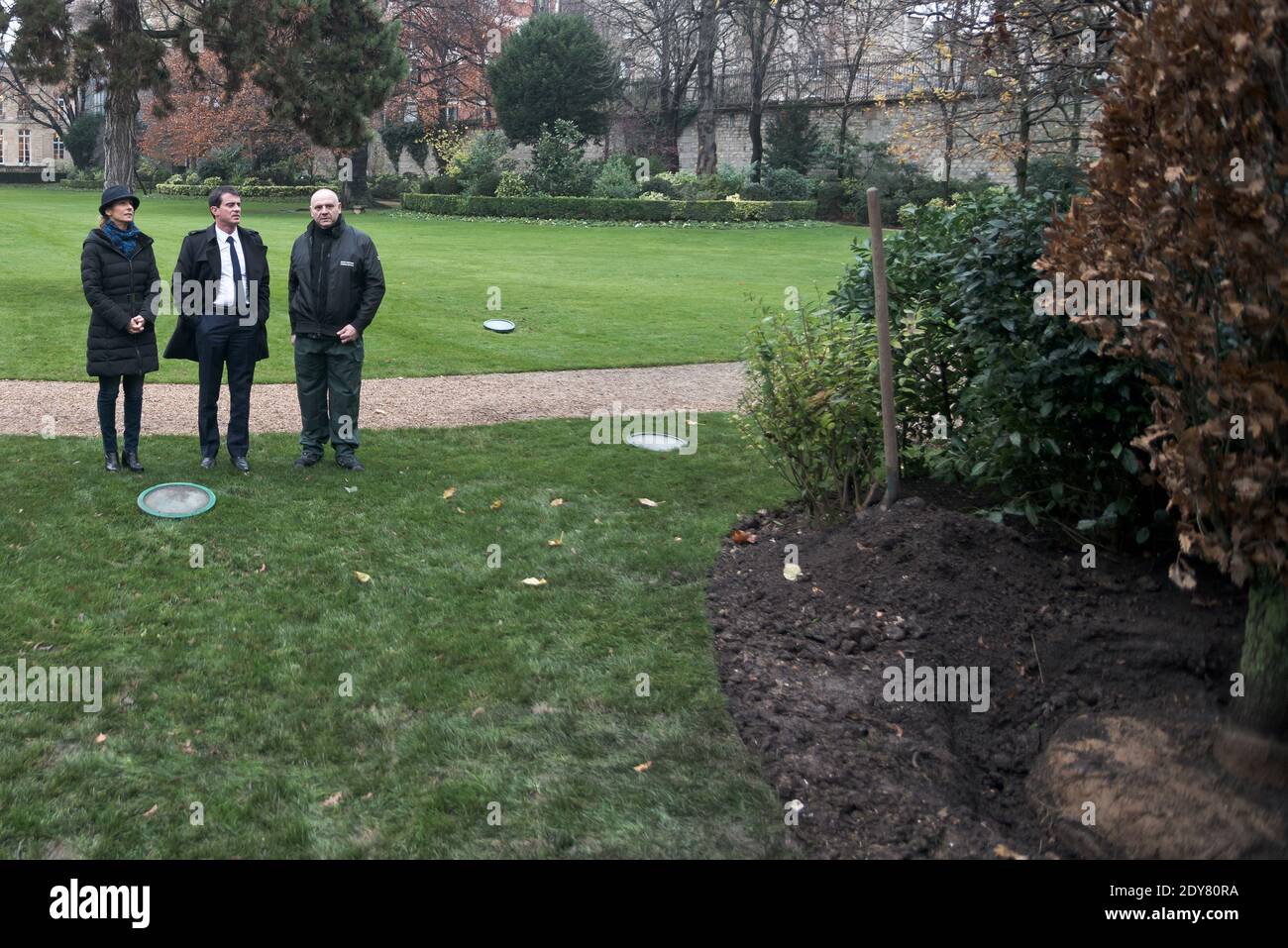 French Prime Minister Manuel Valls arriving along with his wife Anne Gravoin and a gardener to plant the tree called 'of the Prime Minister' - as is the republican tradition - in the gardens of his headquarters Hotel de Matignon in Paris, France on December 16, 2014. The tree, chosen by the Prime Minister, is an oak of the species 'Quercus robur fastigiata' and is located on the front lawn. The tradition of planting a tree at the PM's headquarters was introduced by the late Prime Minister Raymond Barre in 1978. Photo Pool by Nicolas Messyasz/ABACAPRESS.COM Stock Photo