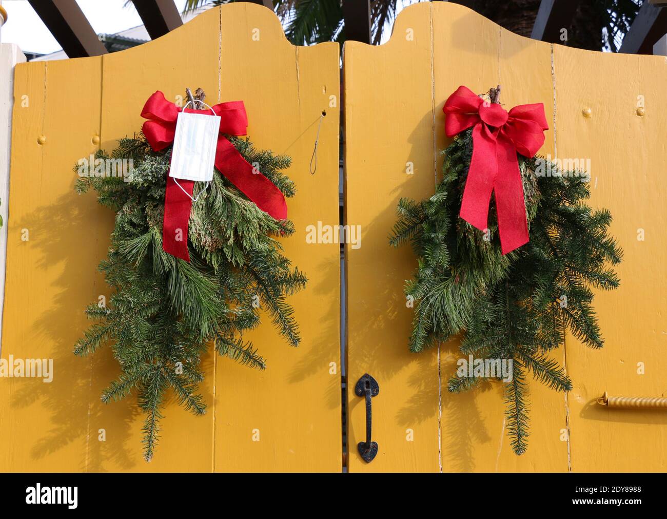 A white surgical mask hangs with a red bow on a decorative display of boughs of pine branches on an old yellow wooden gate.  Christmas Eve, 2020. Stock Photo