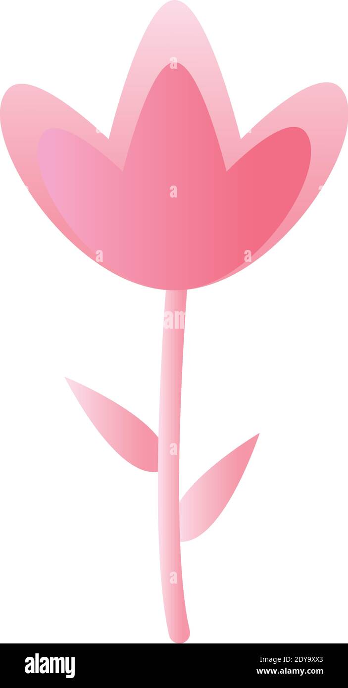 flower with a pink color Stock Vector Image & Art - Alamy