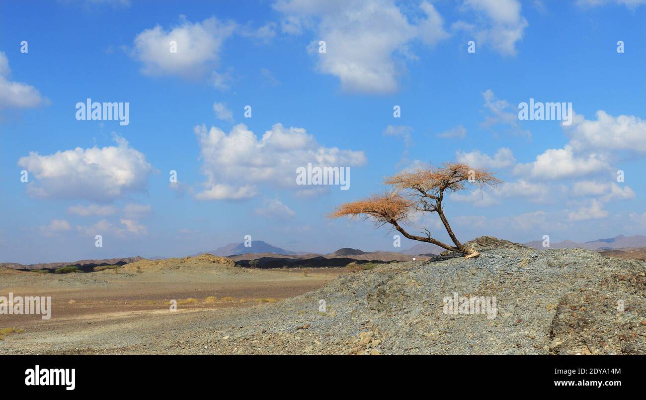 Omani landscapes. Stock Photo