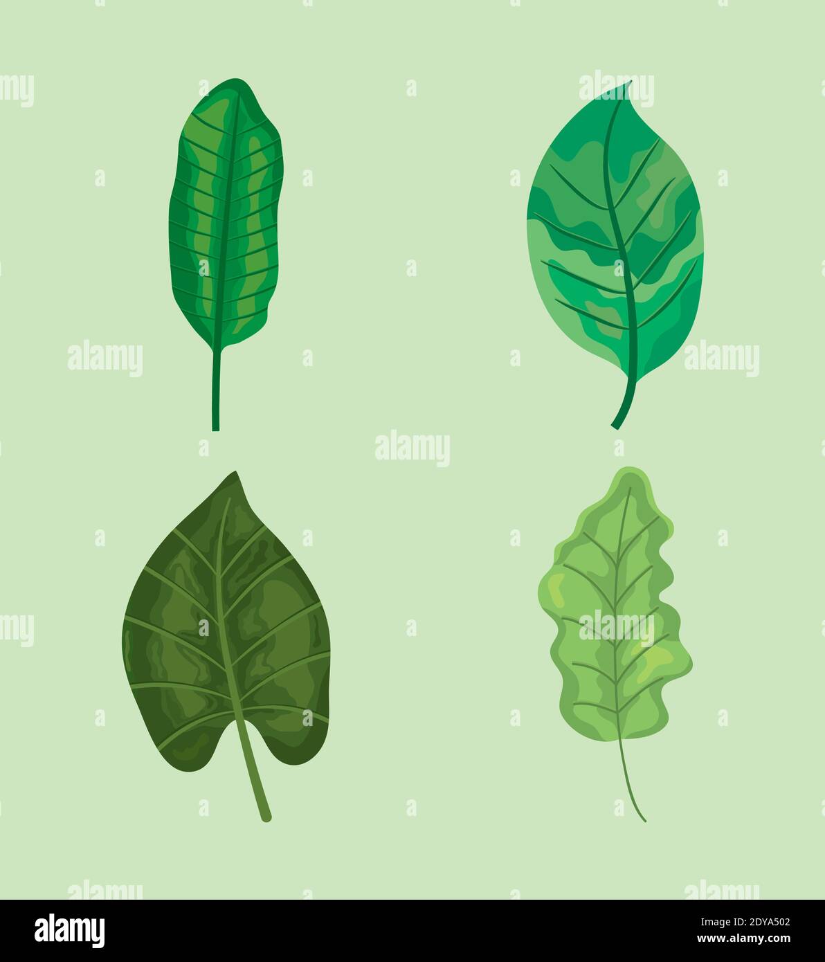 green leaves icon set over green background, colorful design, vector ...