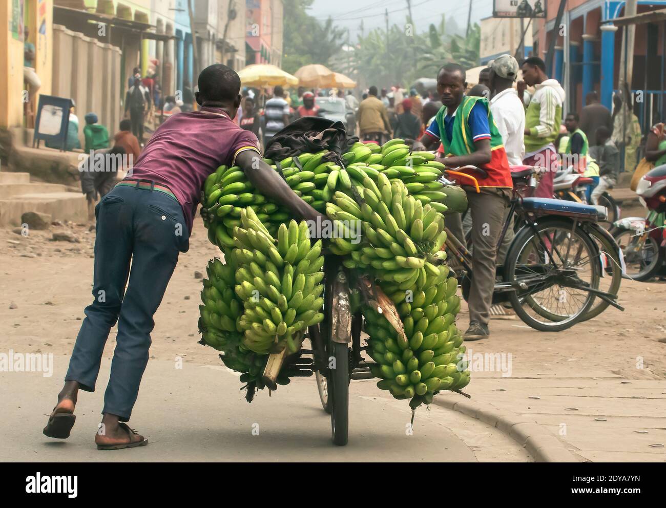 Carrying huge loads on bicycles in Goma, Democratic Republic of Congo Stock Photo