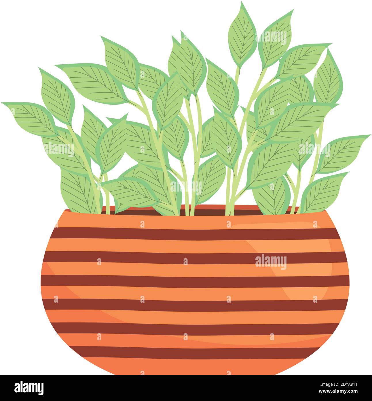 indoor plant on a striped plantpot over white background, colorful ...