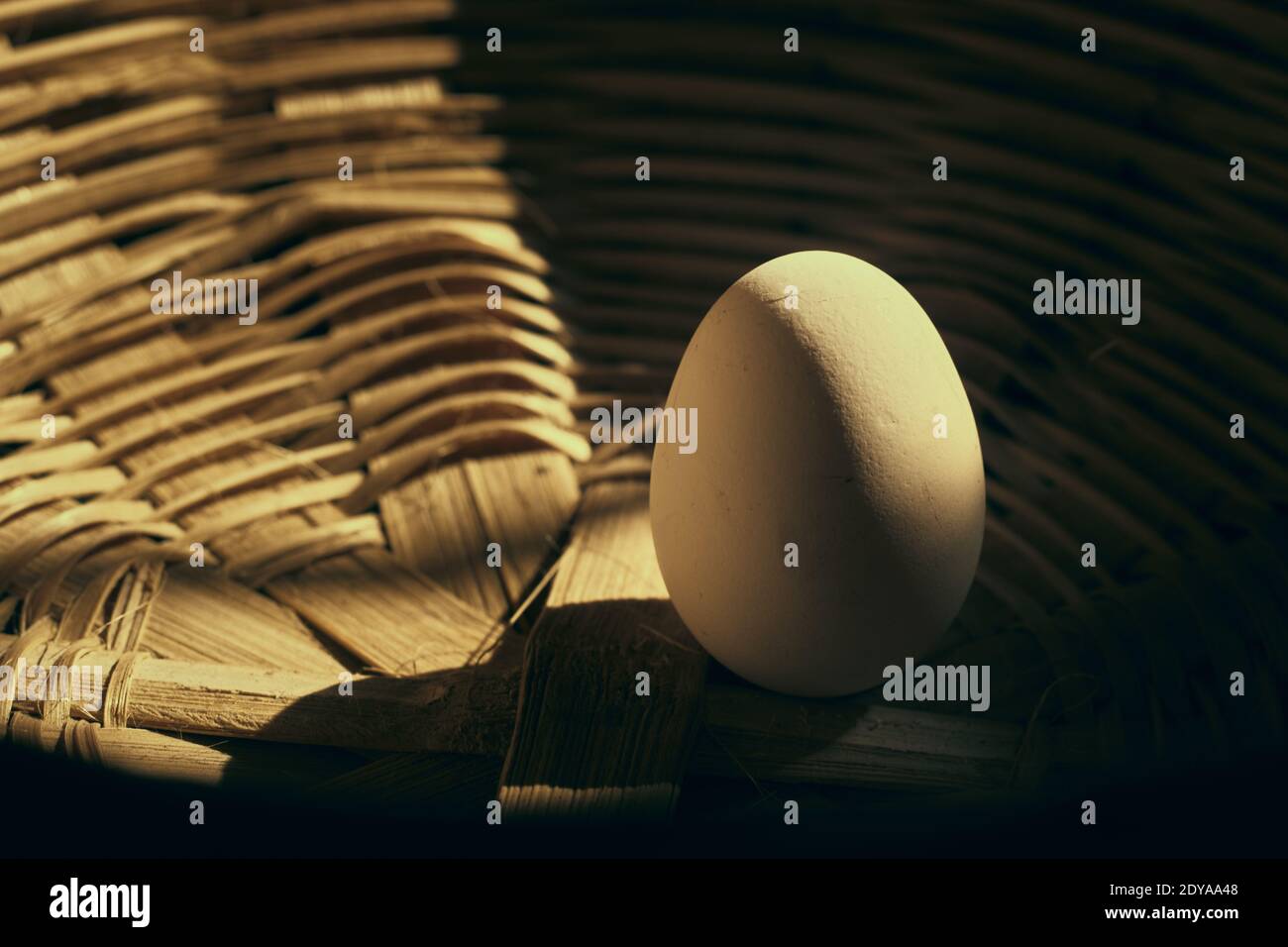 an egg in a basket in sunlight closeup Stock Photo Alamy