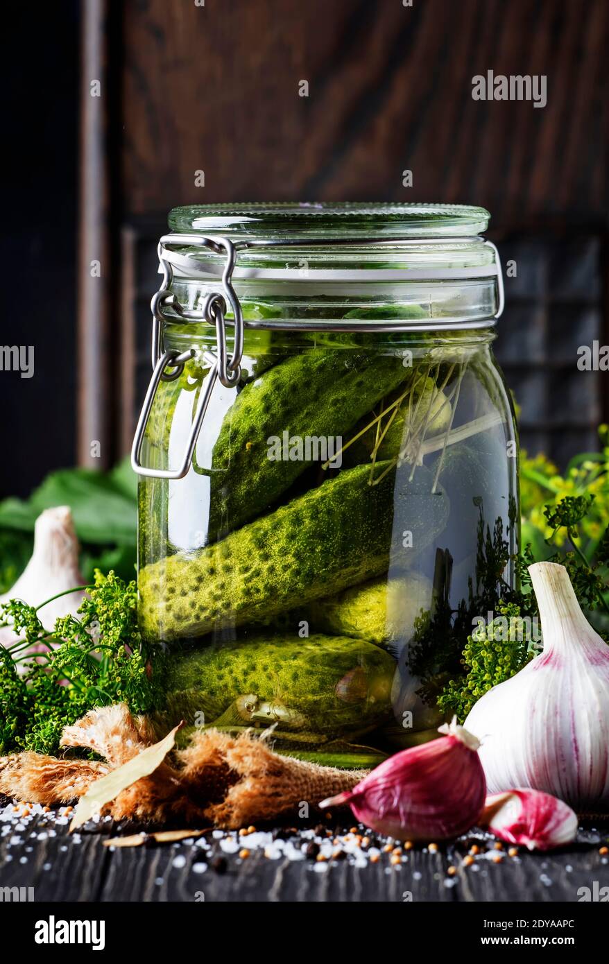 Homemade marinated or pickled cucumbers with dill, garlic and spices in big glass jar on rustic brown table, selective focus Stock Photo