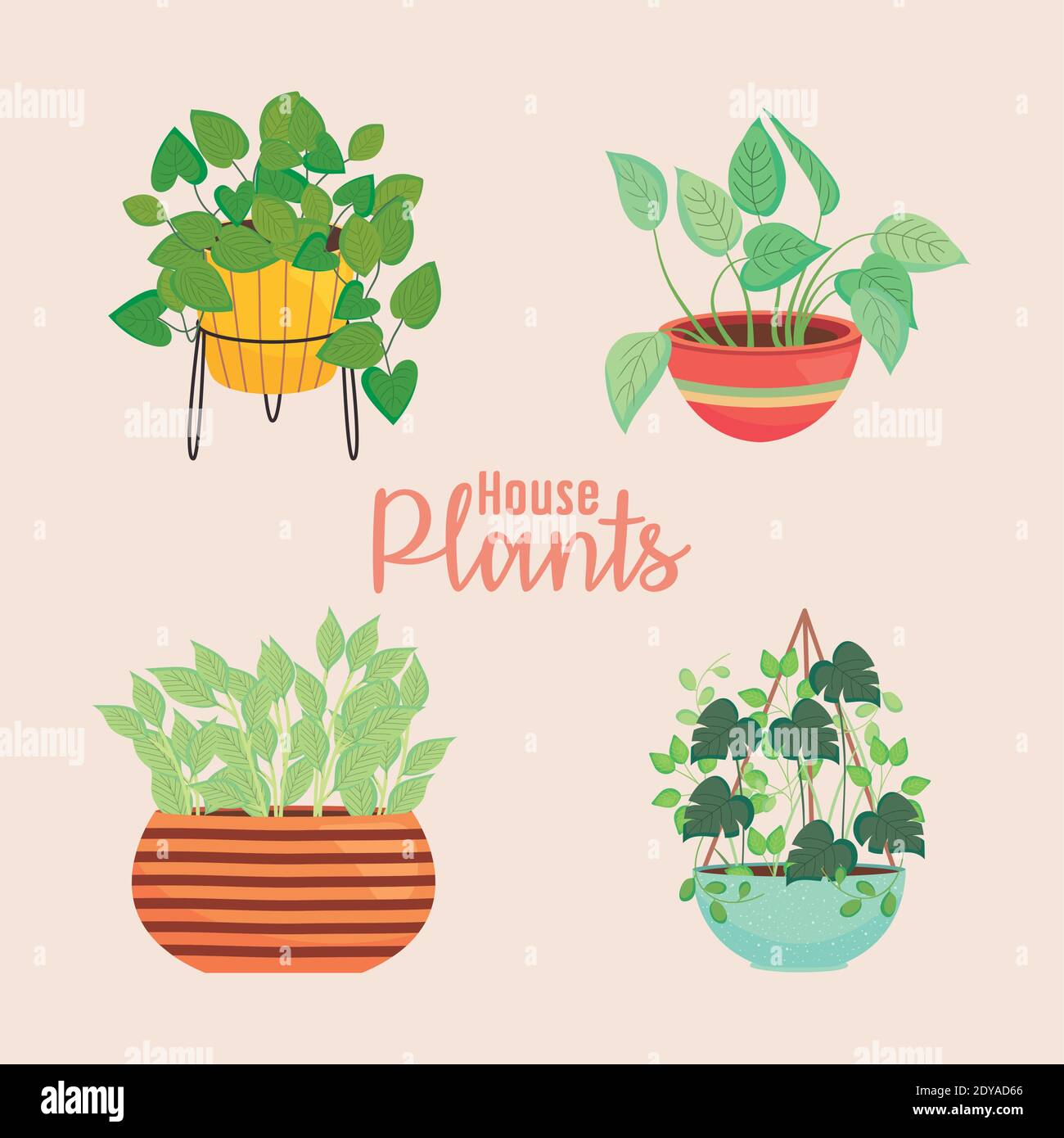 house plants on a colorful plantpots icon set over white background ...