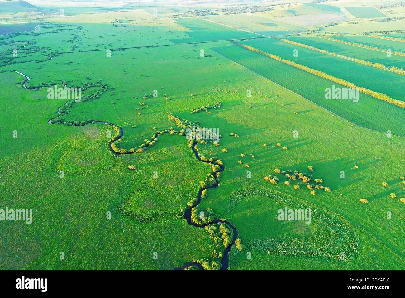 An aerial view of the emerald Hulunbuir Teni River Wetland, an eco ...