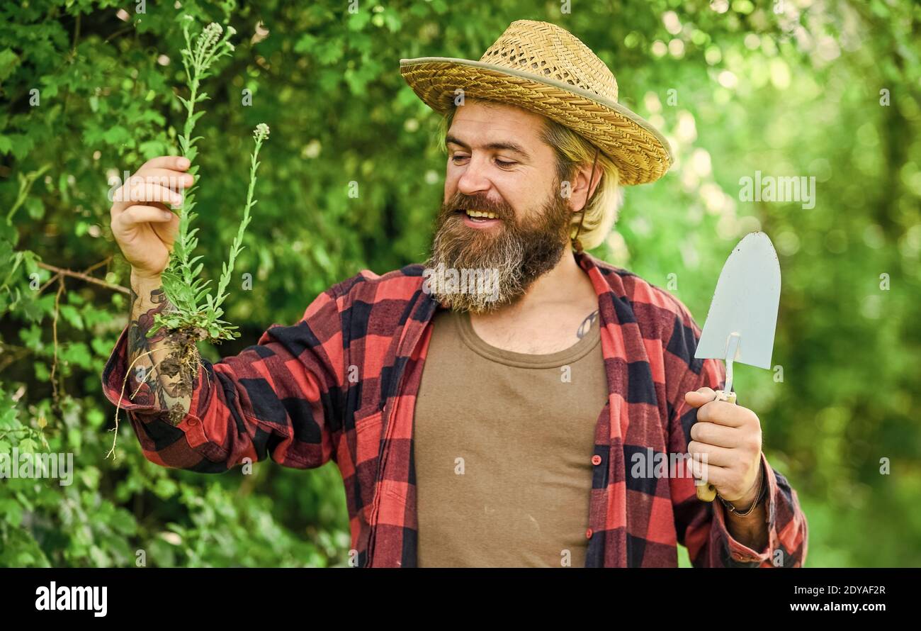 Gardener planting flowers with trowel. cultivation. Farmer planting seedling in organic garden. happy man. people in garden beds. Spring garden concept. Gardeners hands plant flowers in backyard. Stock Photo