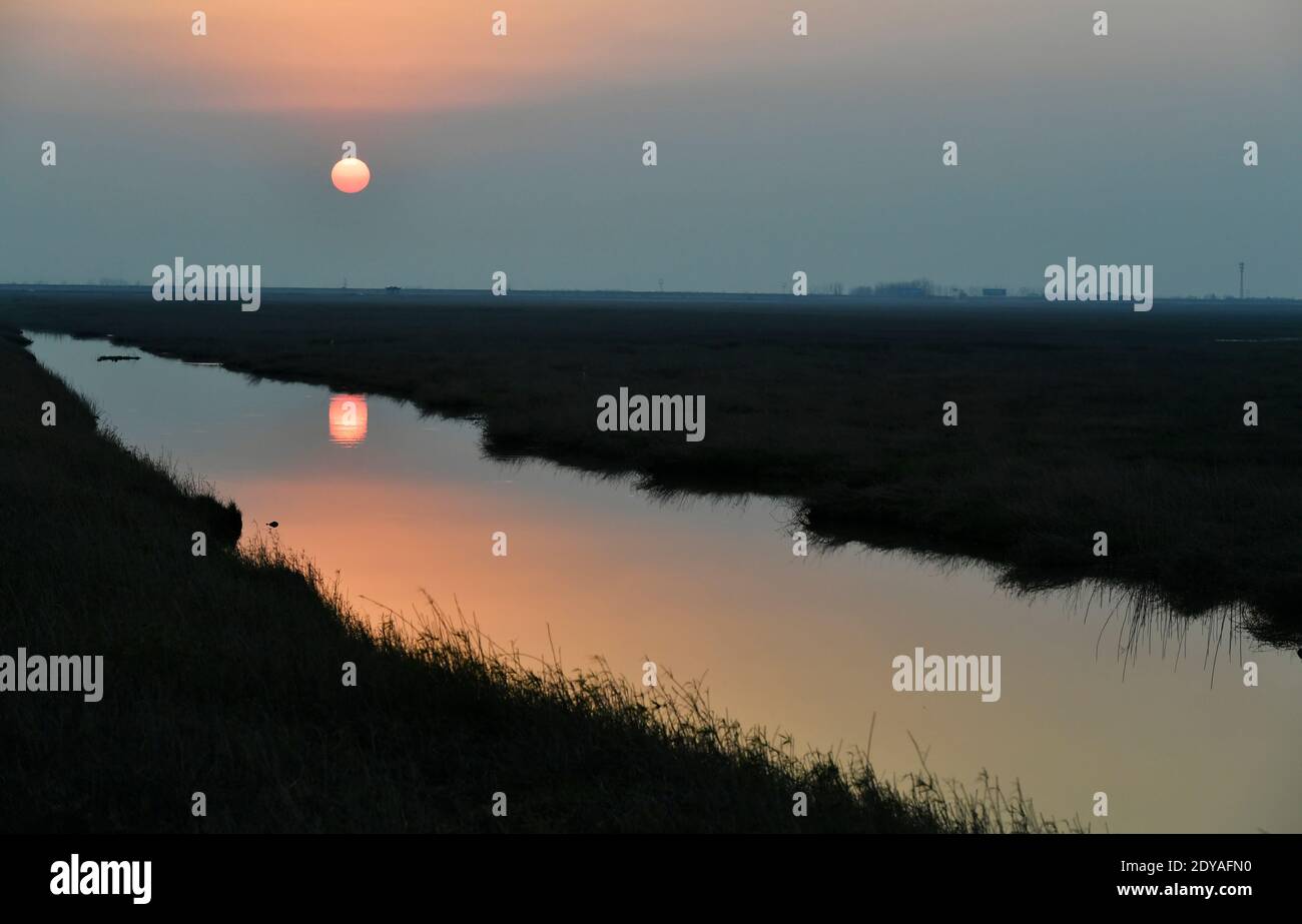 The magnificent sight of China's largest freshwater lake, Poyang Lake, where large grasslands growing and migratory birds flying is pictured in Wuchen Stock Photo
