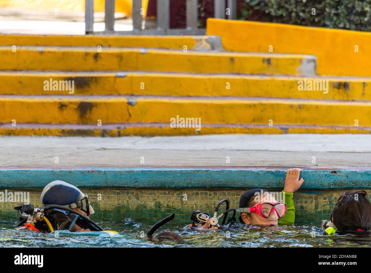 three divers holding onto the edge of the pool as they talk Stock Photo