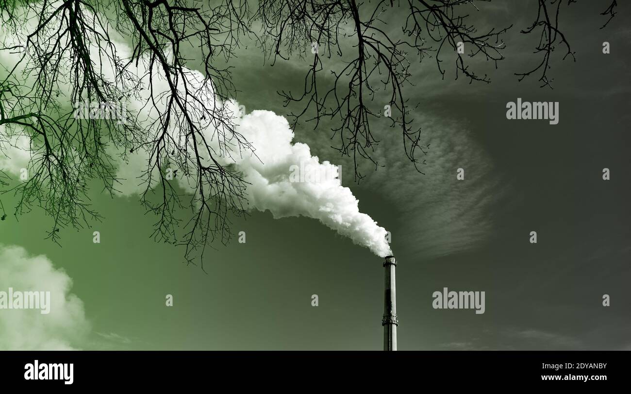 White steam cloud and smoke clouds rise from a high chimney into the