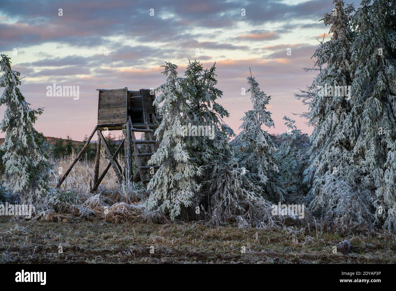 Winter landscape with a deerstand Stock Photo