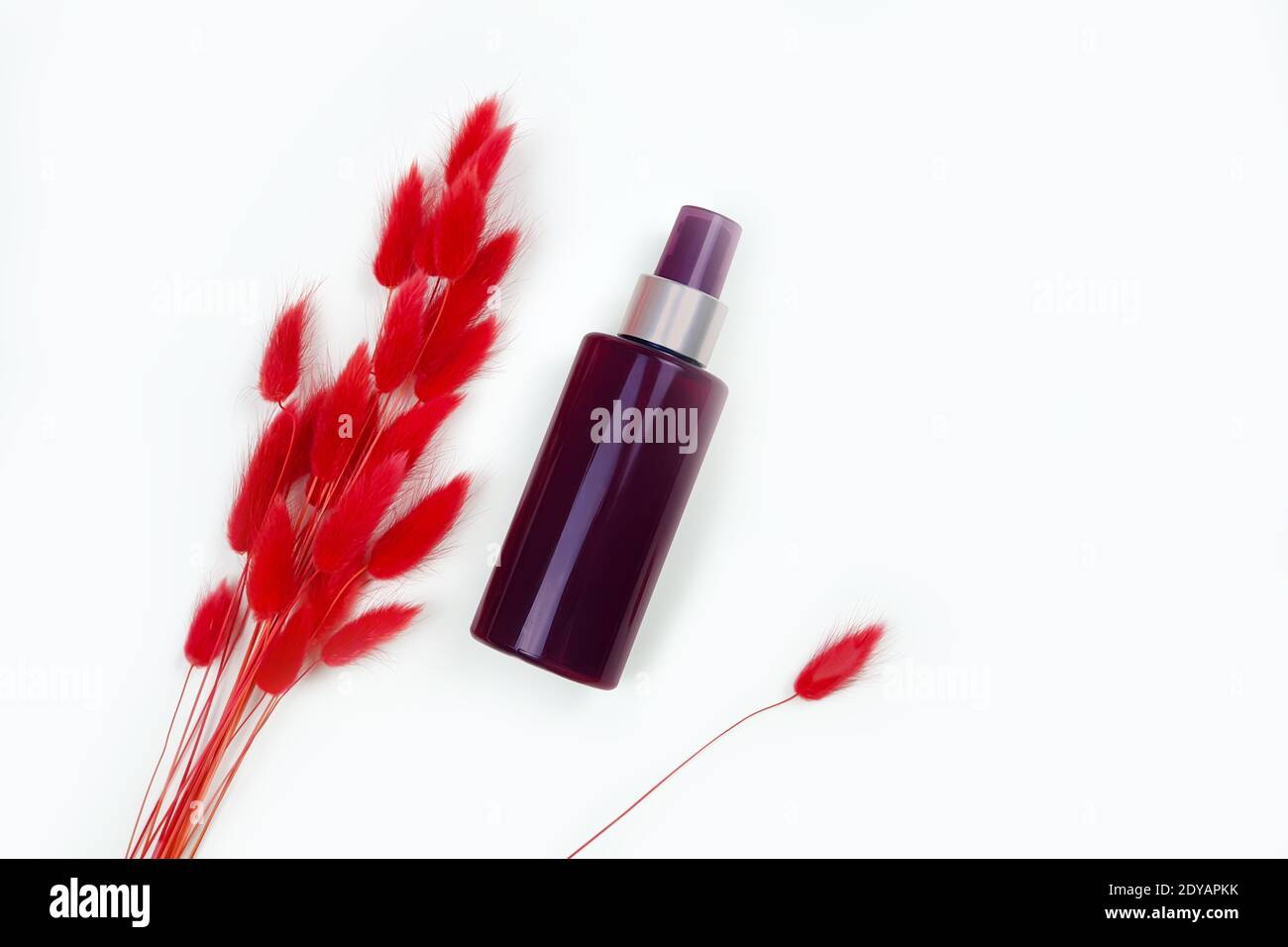 Mockup of unbranded brown cosmetic spray bottle, red herbs on white table. Top view, flatlay, mock-up. Cosmetic bottle container for branding of medic Stock Photo