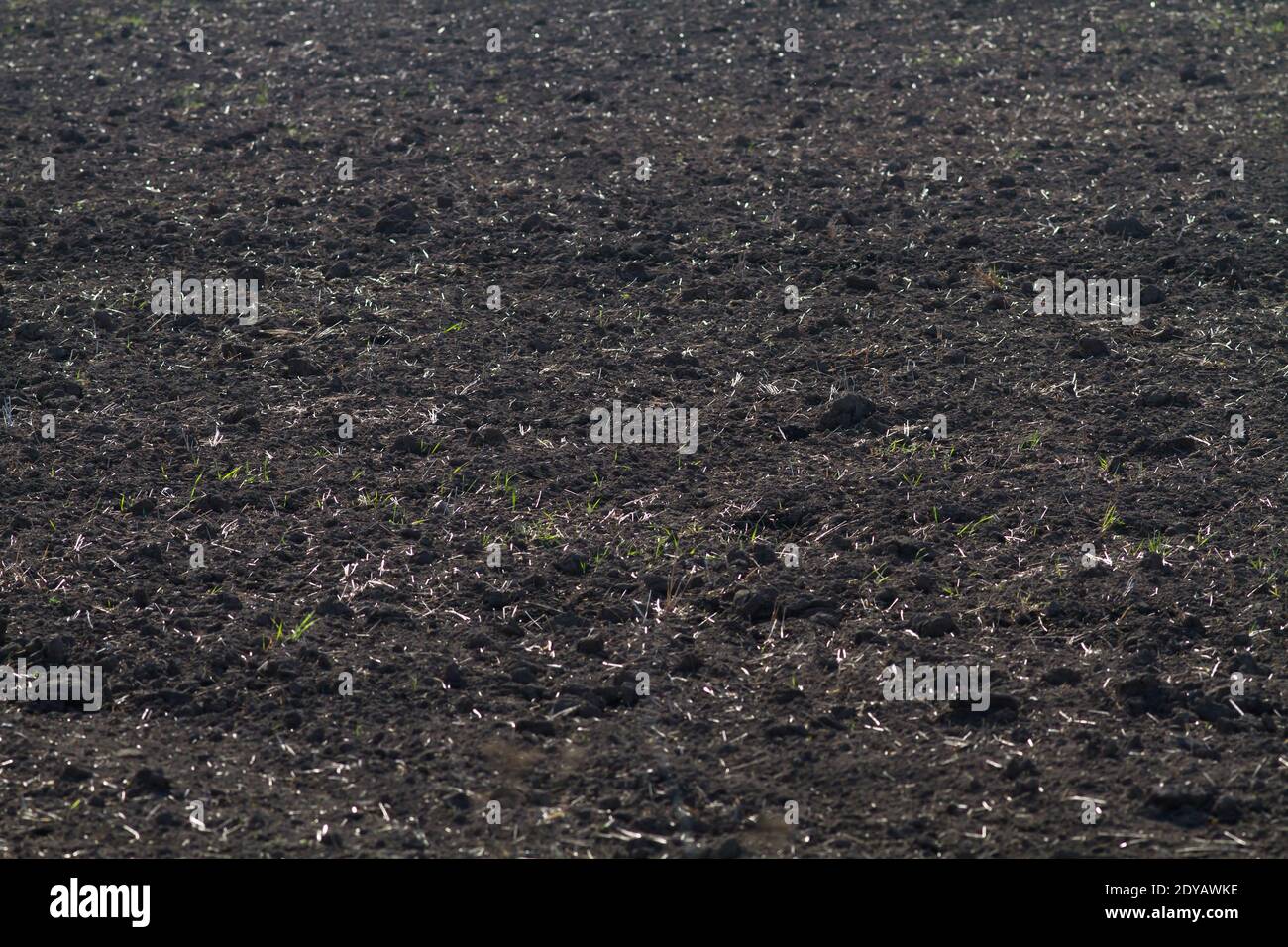 dark soil with lumps on a plowed field (selective focus) Stock Photo