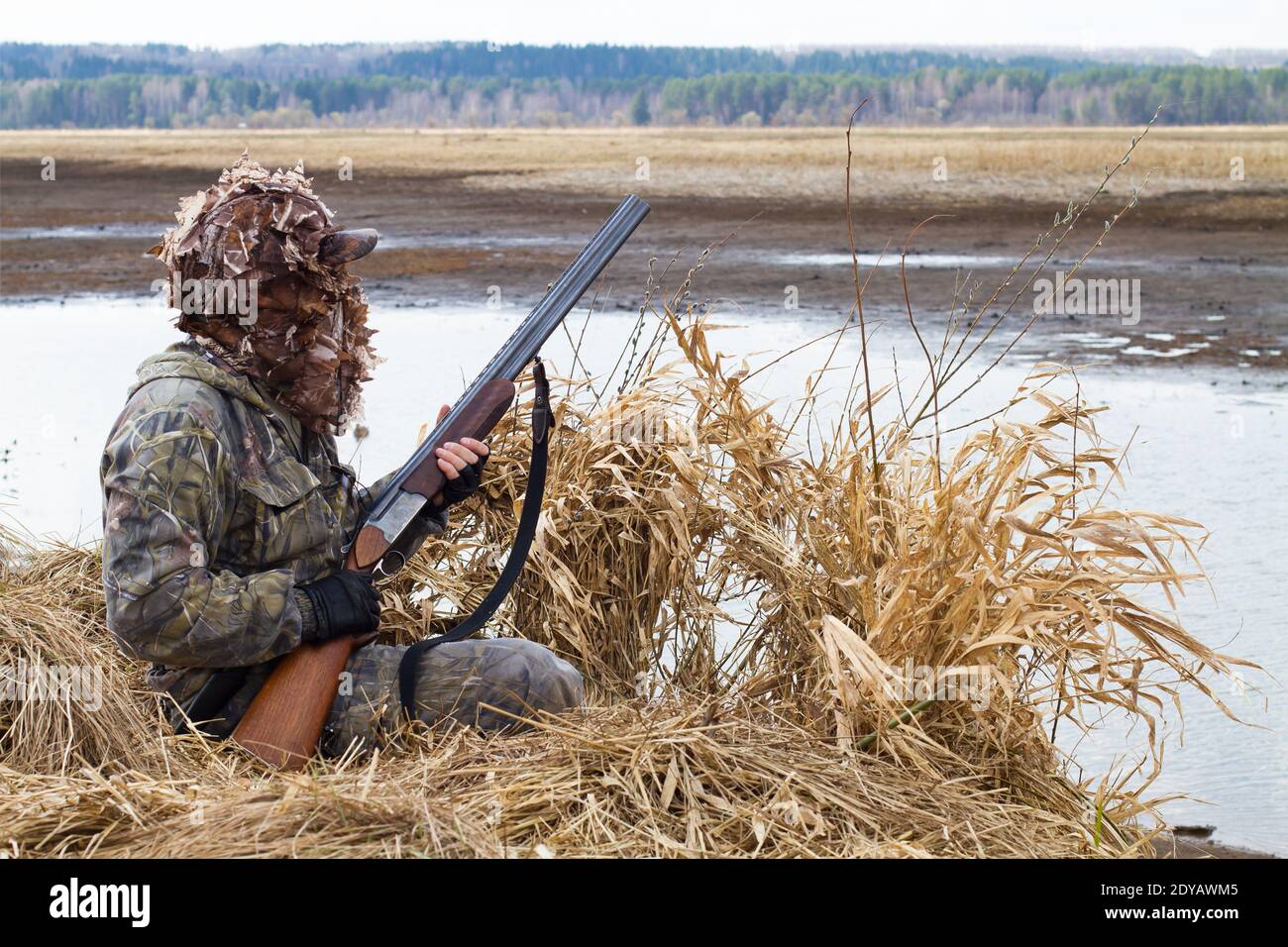 duck hunter with a shotgun climbs out of the hunting blind of reeds on the lake Stock Photo