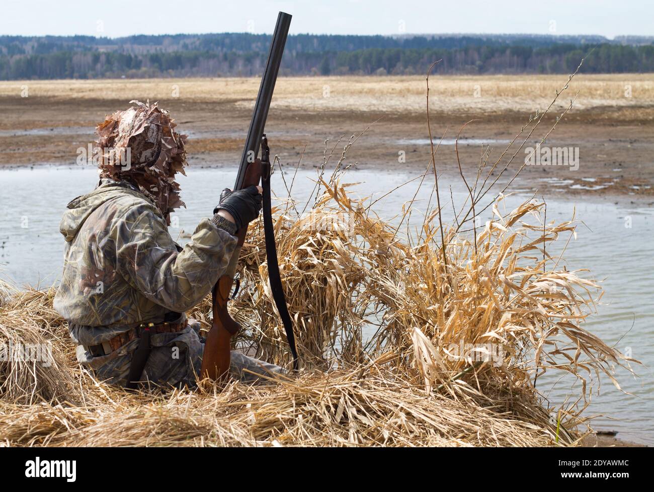 duck hunter with a shotgun sitting next to the blind of reeds on the lake Stock Photo