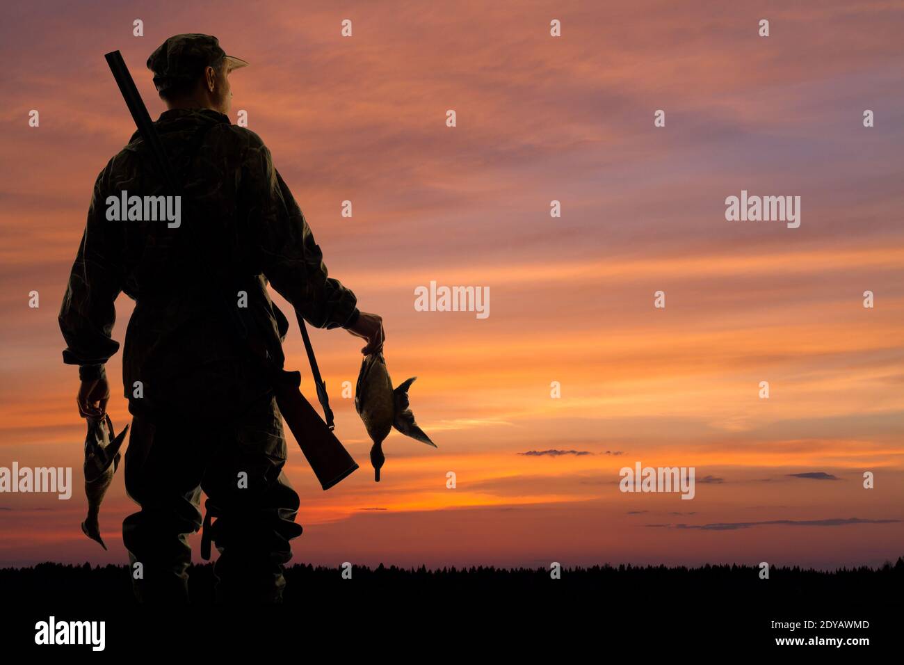 silhouette of the duck hunter with prey on the sunset background Stock Photo