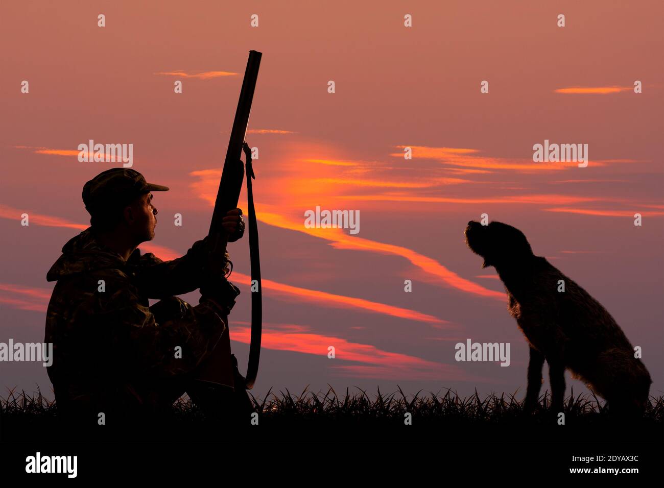 silhouettes of a hunter and a dog who are sitting at sunset background on the hunting Stock Photo