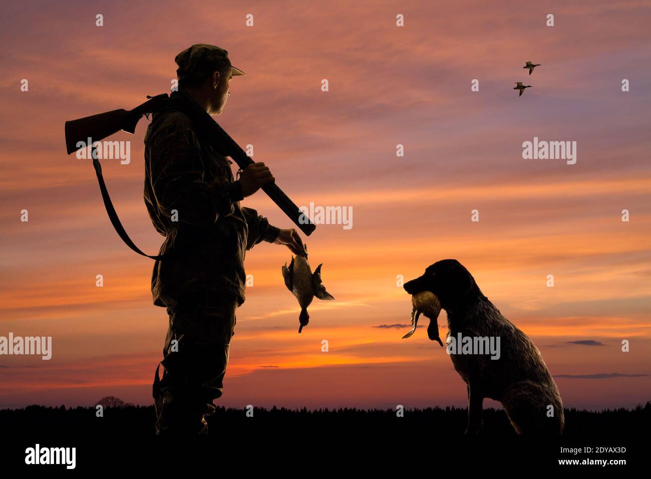 silhouettes of the duck hunter and his dog with downed duck on the sunset background Stock Photo