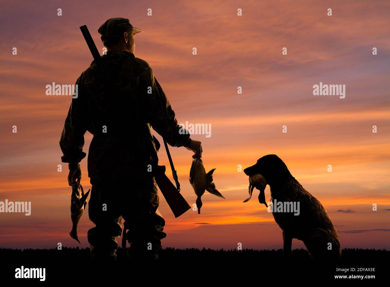 silhouettes of the duck hunter and his dog with prey on the sunset background Stock Photo