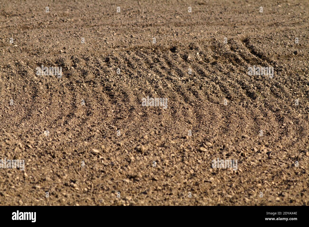 the pattern of furrows on a plowed field (selective focus) Stock Photo