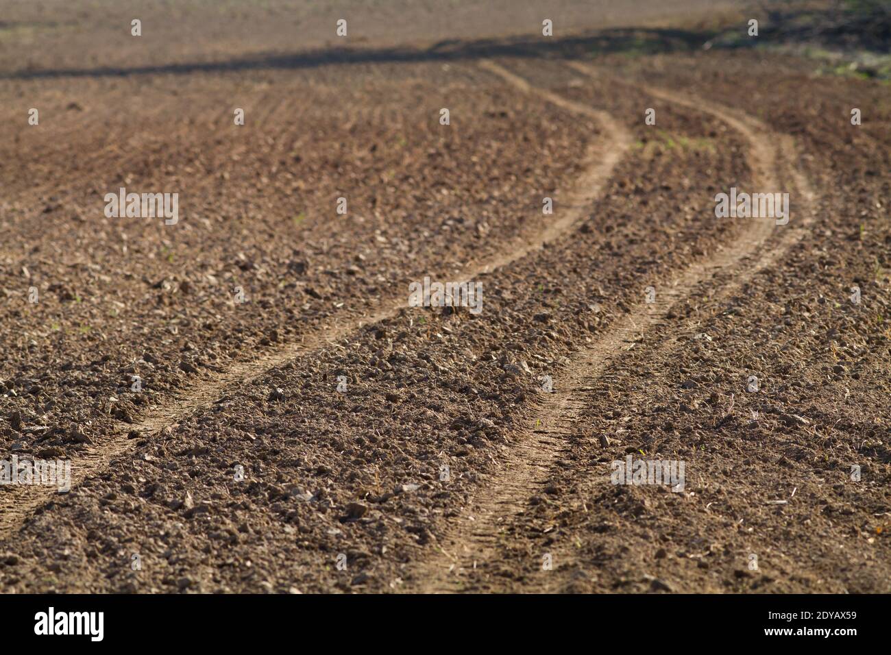 the track of the machine on the plowed field Stock Photo