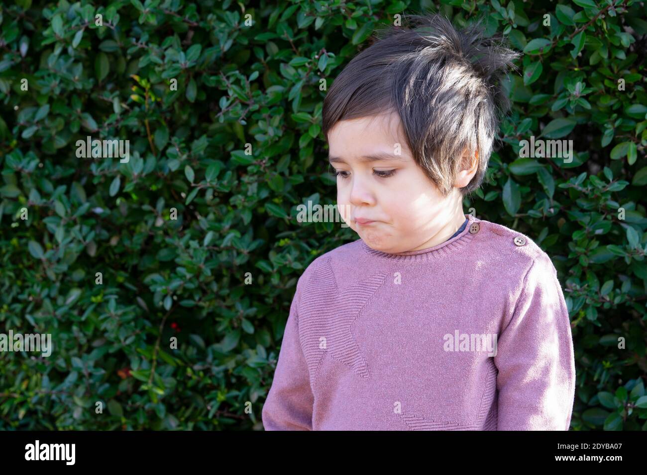 Cute Boy Standing Against Plants In Park Stock Photo