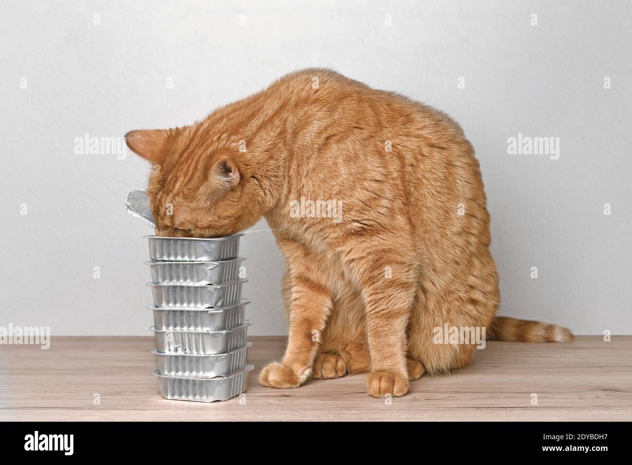 Cat stealing food hires stock photography and images Alamy