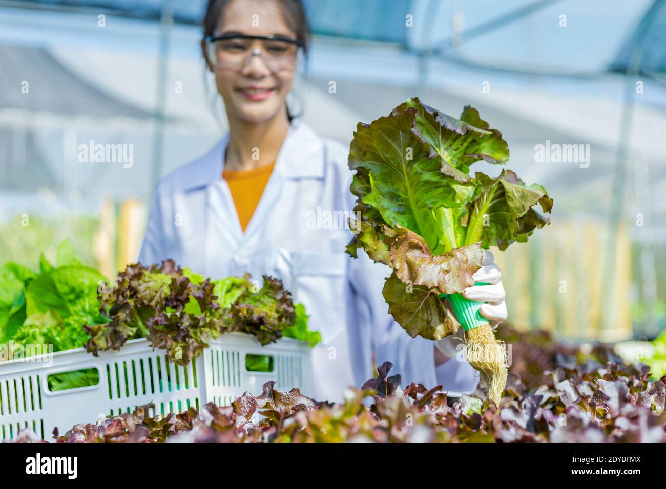 Smiling Botanist Holding Vegetables At Greenhouse Stock Photo