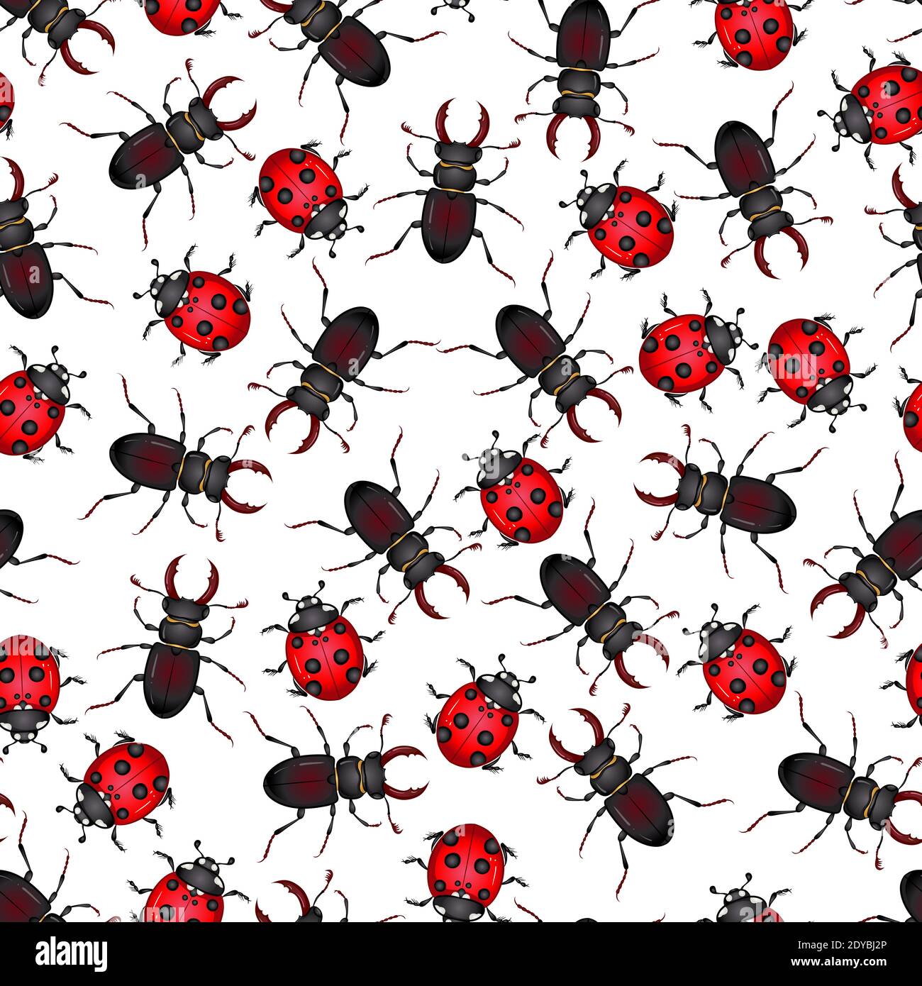 Vector illustration with insect beetles. Seamless pattern isolated on ...
