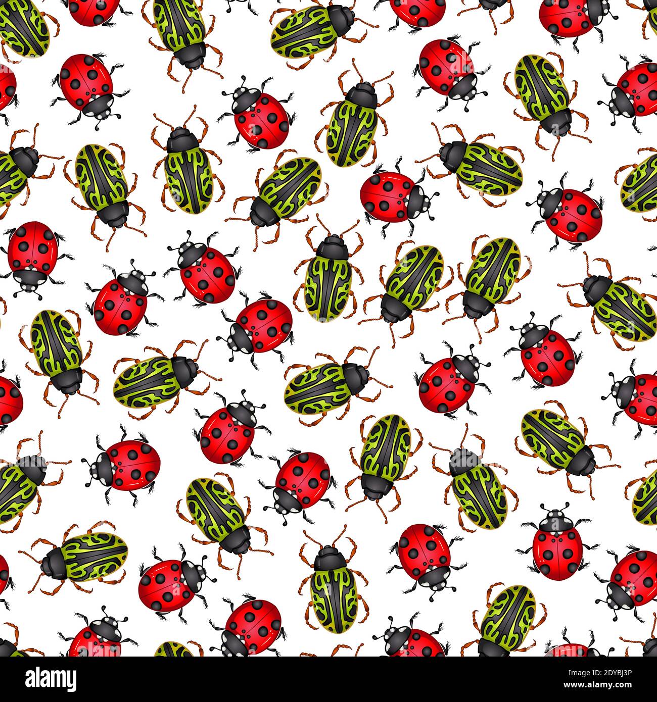 Vector illustration with insect beetles. Seamless pattern isolated on ...