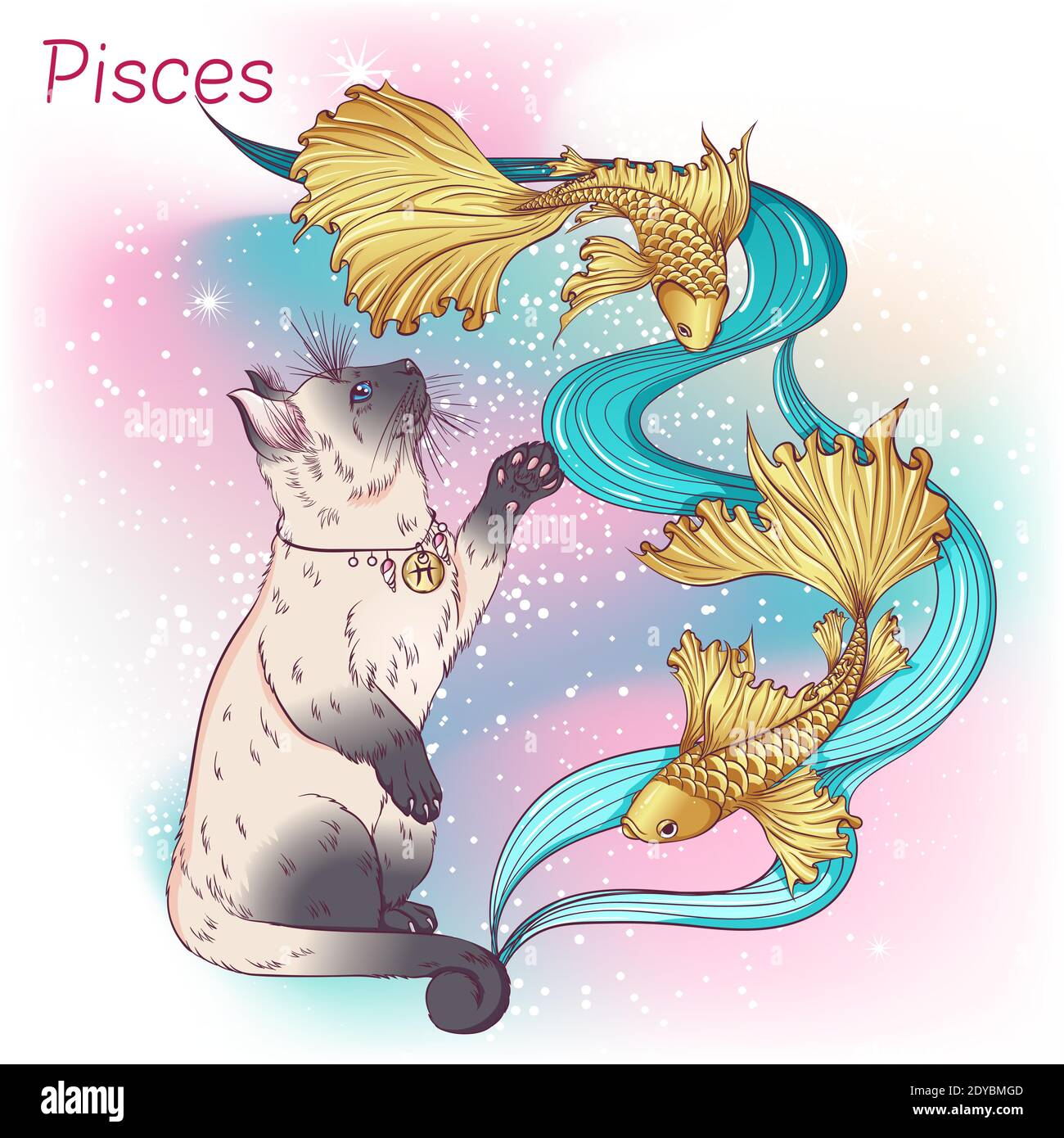 Zodiac. Vector illustration of the astrological sign of Pisces as a Siamese or Thai cat breed standing on two hind legs. Astrological horoscope element. Astrology concept art Stock Vector