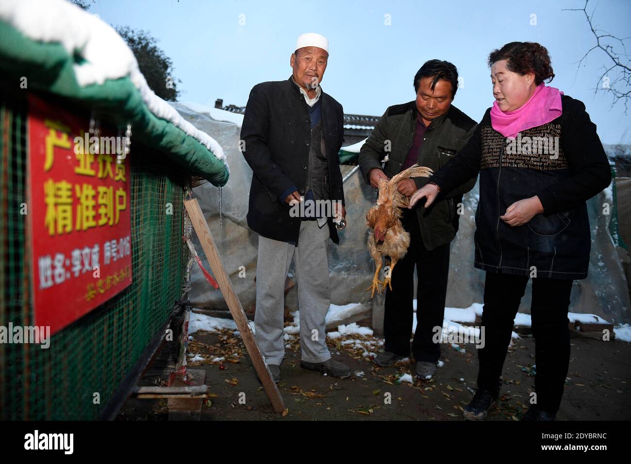 (201225) -- YINCHUAN, Dec. 25, 2020 (Xinhua) -- Ding Haiyan (R) visits villagers to learn about their livestock breeding in Hejiayuan Village of Xihaigu in northwest China's Ningxia Hui Autonomous Region, Oct. 27, 2016. Xihaigu, a largely mountainous region in northwest Ningxia, was once inflicted by deep poverty and labeled the 'most unfit place for human settlement' by the United Nations in the 1970s due to land reclamation, drought, and a fragile ecological environment. On Nov. 16, 2020, Xihaigu historically bid farewell to absolute poverty, during which 'she power' played an indispensable Stock Photo