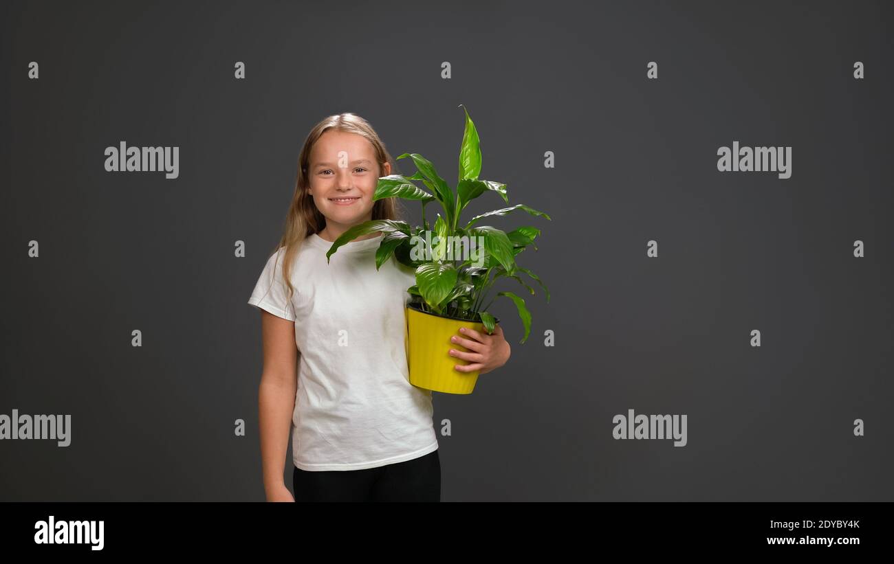 Little girl holding a flower plant in yellow color pot in her hands. Girl wearing white t shirt smiling at camera. Isolated on dark grey or black Stock Photo
