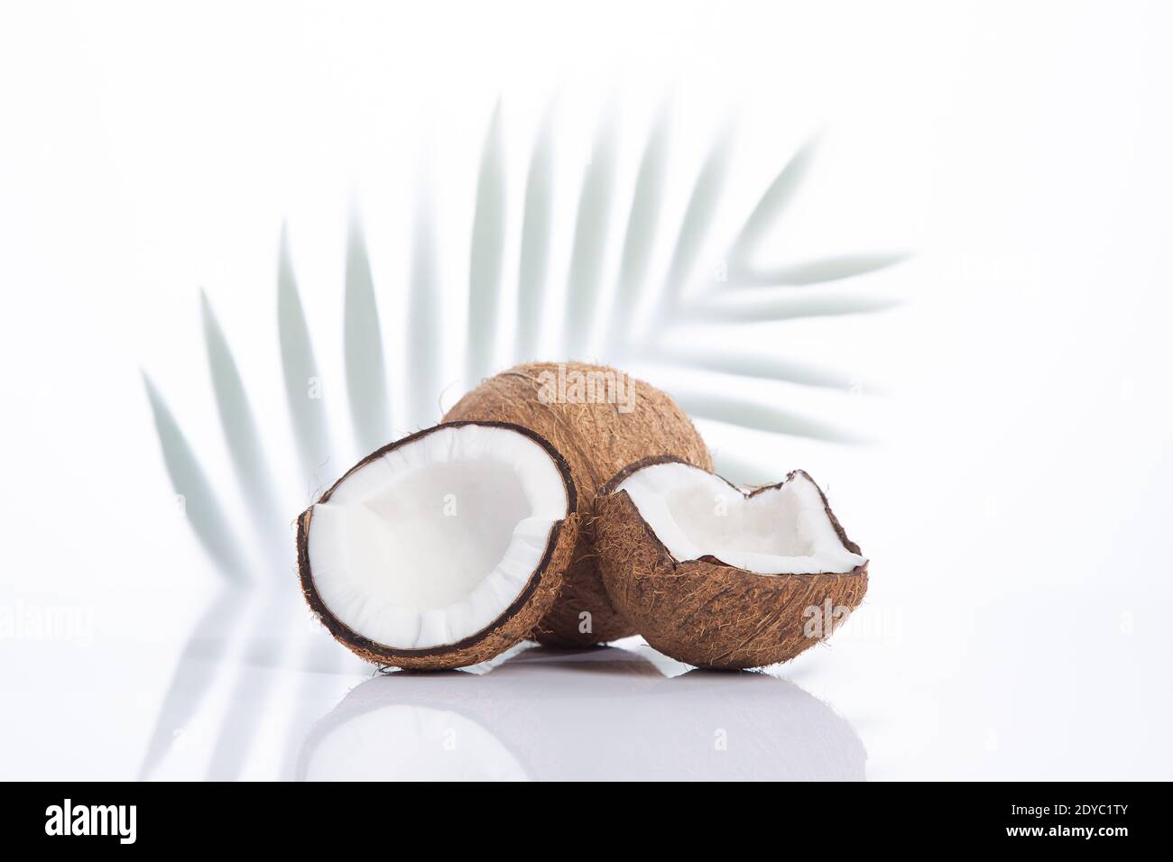 Coconuts isolated on white background,  with palm leaf on background. Stock Photo