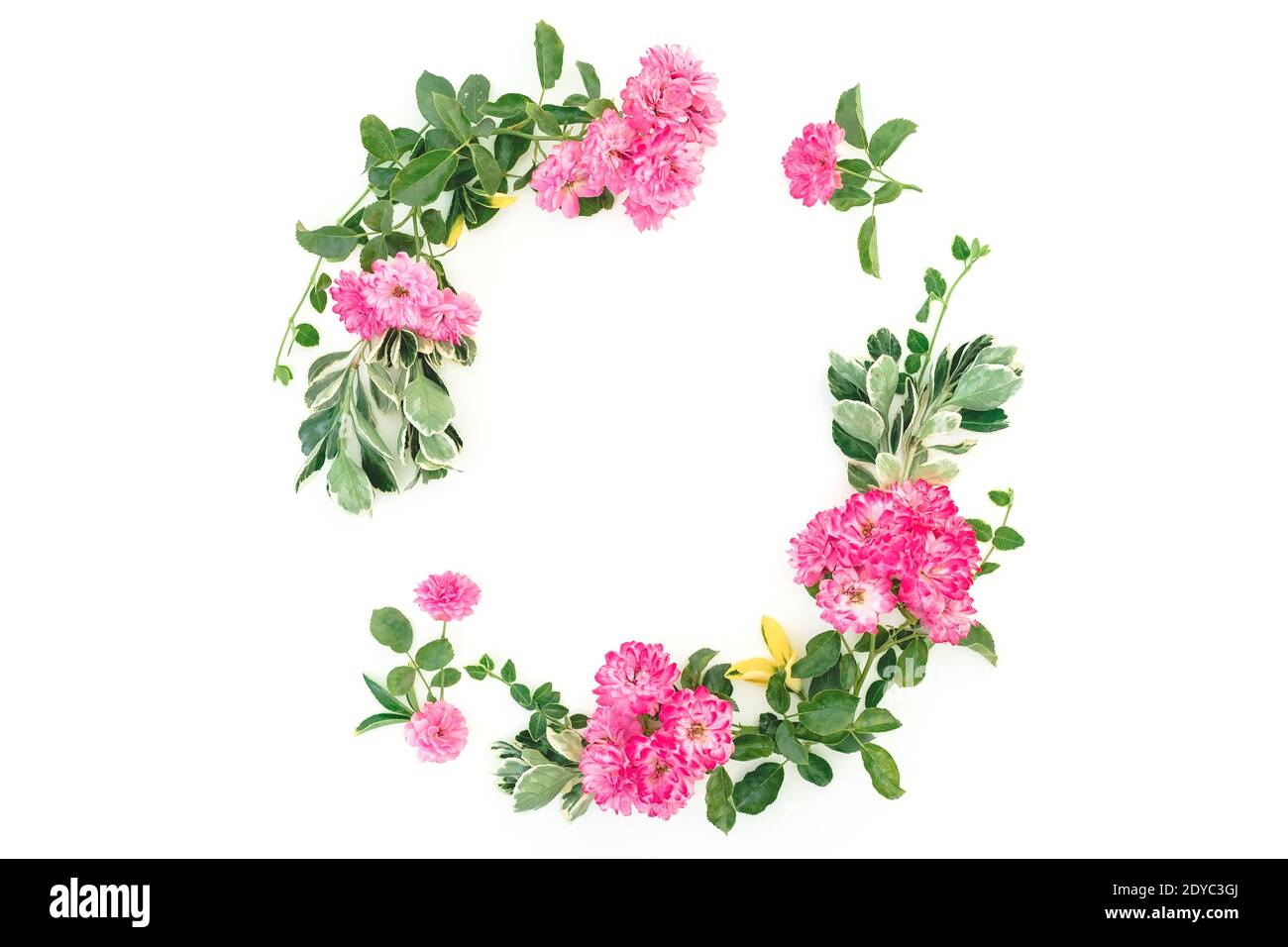 Round frame with pink roses and leaves on white background. Flat lay ...