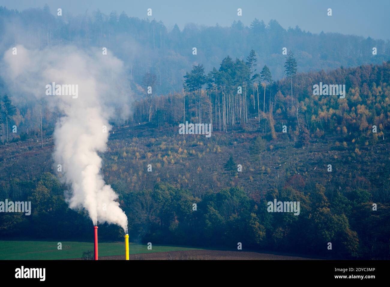 Air pollution. forest dieback Stock Photo