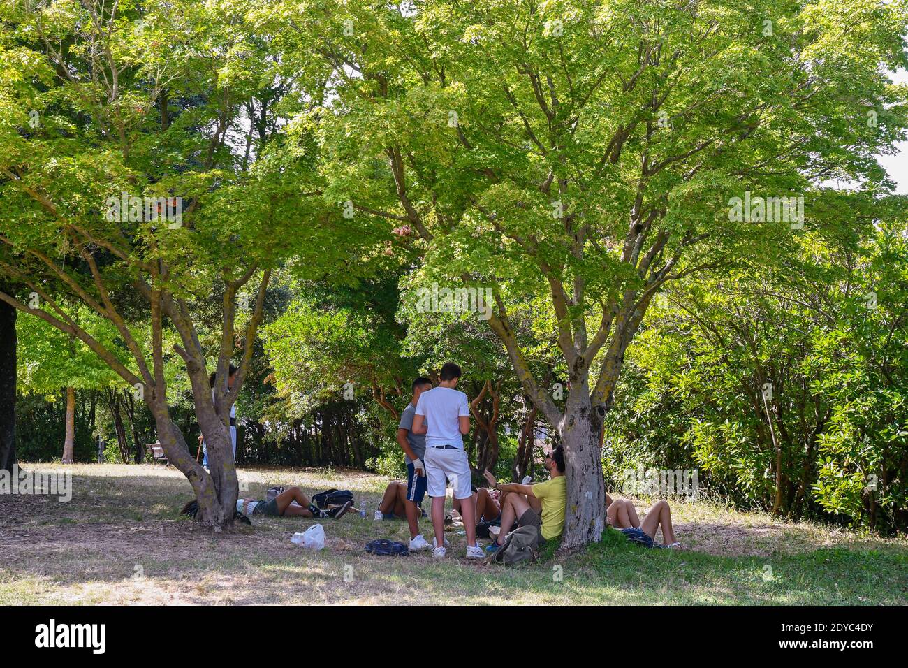 Group of young people resting on the meadow in the shade of the trees in a public park in a hot summer day, Volterra, Pisa, Tuscany, Italy Stock Photo