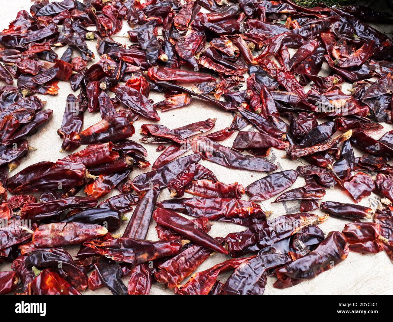 LalibelaEthiopia April 12, 2019 Red chili peppers spread out to dry
