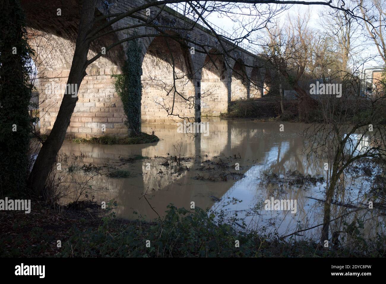 River Leam floodwater at Princes Drive viaduct, Leamington Spa