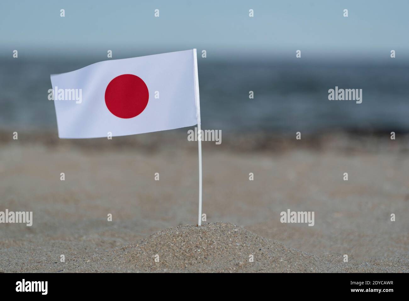White flag on sale with red dot