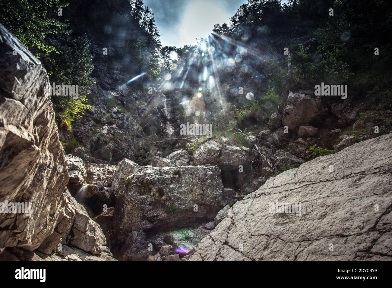 Rocky gorge filled with large boulders on whose surface there is a dinosaur footprint, Monte Resettum, Friuli, Italy. Shooting against the light Stock Photo